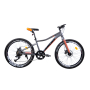 Велосипед Ardis Skif 24 MTB AL