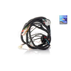 Проведення GY6 50 GRAND PRIX QT6 "LIPAI"