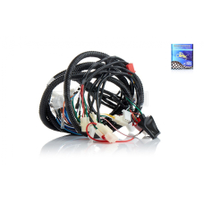 Проведення GY6 50 RACE QT7 "LIPAI"