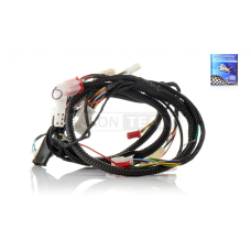 Проведення GY6 50/150 STORM QT9 "LIPAI"