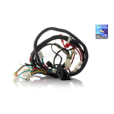 Проведення GY6 50 WIND QT16 "LIPAI"