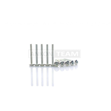 Болти із напівсферичною головкою D‑6, L‑60mm (10шт)