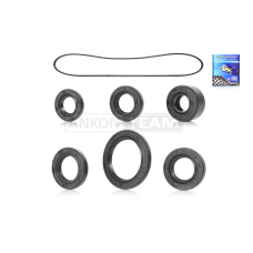 Сальники к‑кт Delta 6шт повний набір +прокладка "LIPAI" (NOK)