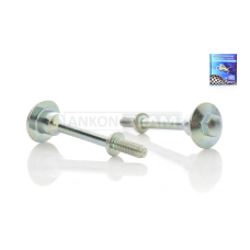 Болти кріплення кришки головки Kymco ARN125/150 (153QMI, 158QMJ) "LIPAI"