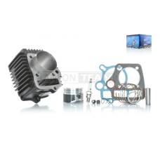 ЦПГ Delta 110, ATV110 D52.4, p14, h69, чавун, тефлон #PRO "LIPAI"